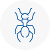 Ant Removals In Surrey
