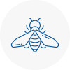 Bee Nest Removal Surrey