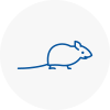Mice Exterminators In Surrey
