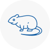 Rat Control Surrey