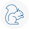 Surrey Rodent Removals